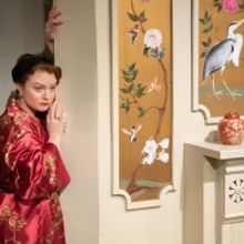 Edge Of The Wood Theatre Presents Moss Hart's LIGHT UP THE SKY