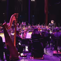Photos/Video: New York Philharmonic at Radio City Music Hall Video