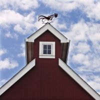 Westport Country Playhouse Changes Date Of FAMILY FUN DAY Due To Weather Forecast
