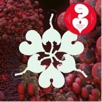 Björk to Release 'the fossora remixes' Record Store Day 12” Double Single