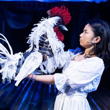 Review: WHITE ROOSTER at Lookingglass Theatre Company