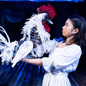 Review: WHITE ROOSTER at Lookingglass Theatre Company