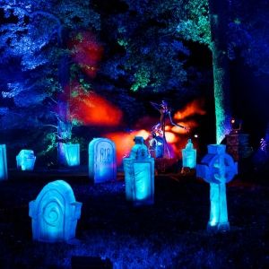 THE NIGHTMARE BEFORE CHRISTMAS Light Trail Returning to the New York Botanical Garden