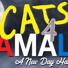 Betty Buckley, Bryan Batt, and More Set for CATS4KAMALA Online Event