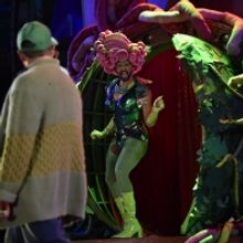 BWW Review: LITTLE SHOP OF HORRORS at Orlando Shakes