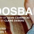 FOOSBALL to Make World Premiere at Arts on Site in New York Photo
