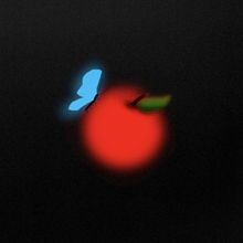 Video: Lightning Bug Shares Single Ahead of New Album Out Next Week