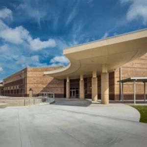 Sarasota Orchestra Announces 2024-2025 Harmony Gallery Artists