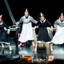 Teac Damsa's SWAN LAKE Makes its Cork Debut