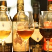 SHERRY-Wonderful Wine Selections Produced by the Barbadillo and Valdespino Bodegas
