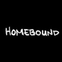 BWW Video: Round House Theatre Premieres New Webseries Homebound