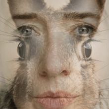 EDINBURGH 2019: BWW Review: SARY, Sweet Novotel