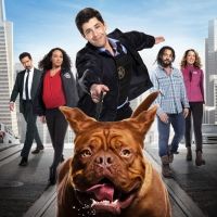 VIDEO: Trailer for New Disney Plus Series TURNER & HOOCH!