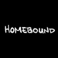 BWW Video: The Tenth and Final Episode of Round House Theatre's Webseries Homebound