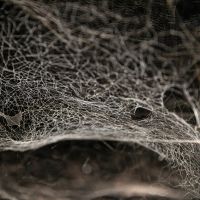 The Shed to Present TOMÁS SARACENO: PARTICULAR MATTER(S)