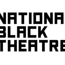 National Black Theatre Opens 2026-2027 SOUL Series LAB Applications