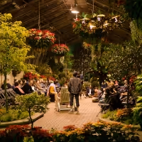 Midsommer Flight's 7th Annual TWELFTH NIGHT to be Presented in December in the…