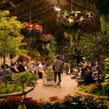 Midsommer Flight's 7th Annual TWELFTH NIGHT to be Presented in December in the Lincol