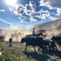 Opera Lafayette to Perform THE BLACKSMITH to Live Audience on Colorado Ranch