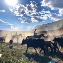 Opera Lafayette to Perform THE BLACKSMITH to Live Audience on Colorado Ranch