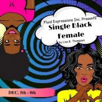 BWW Previews: FLUID EXPRESSIONS COMBINES HUMOR AND POIGNANCY FOR SINGLE BLACK FEMALE…