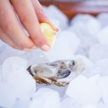 The Mark Clam Bar to Open at The Mark Hotel on the Upper East Side