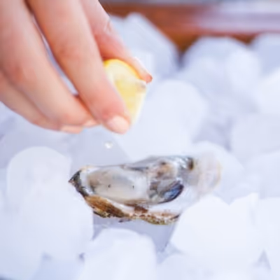 The Mark Clam Bar to Open at The Mark Hotel on the Upper East Side