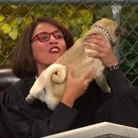 VIDEO: Watch Cecily Strong Preside Over a Dog Court on SNL