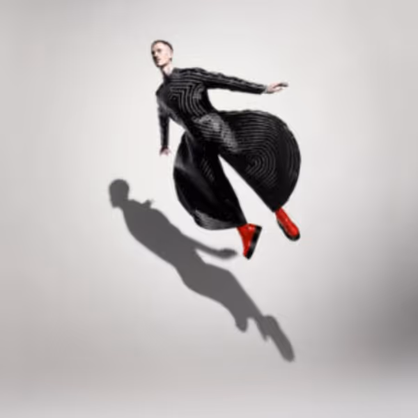 SUBJECT TO CHANGE - A DANCE FOR DAVID BOWIE to Premiere in 2028 Photo