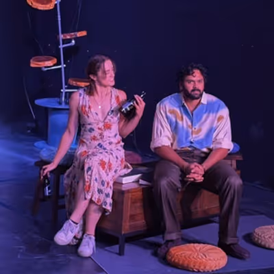 Review: THE SEAGULL at RONIN THEATRE COLLABORATIVE