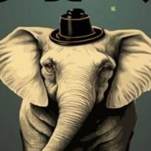 Rob Mermin's ACT 39 to Hold Auditions for Statewide Tour in Vermont