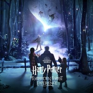Review: HARRY POTTER: A FORBIDDEN FOREST EXPERIENCE at The Briars Community Forest