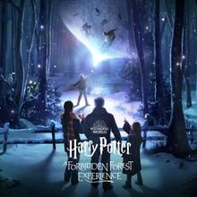 Review: HARRY POTTER: A FORBIDDEN FOREST EXPERIENCE at The Briars Community Forest