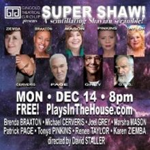Tonya Pinkins, Michael Cerveris, Joel Grey, Patrick Page and More to Take Part in SUP