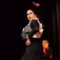 Pan Asian Rep Announces Presenters and Performers for Gala