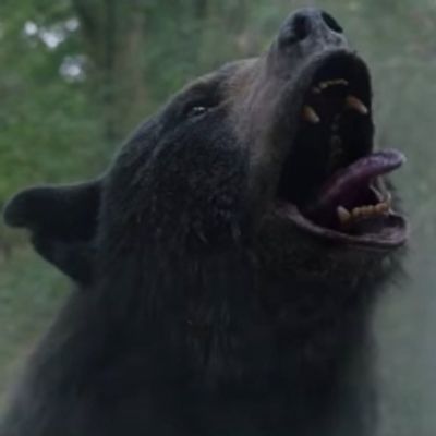 VIDEO: Watch the New COCAINE BEAR Trailer