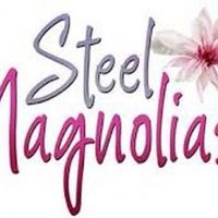 The Hendersonville Performing Arts Company Presents STEEL MAGNOLIAS