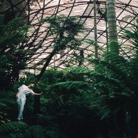 Forest Collective Return To Midsumma With CHLOROPHYLL