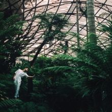 Forest Collective Return To Midsumma With CHLOROPHYLL