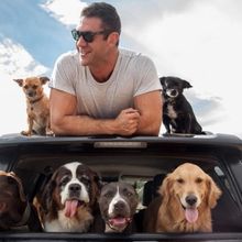 Eisemann Center Will Present An Evening With Lee Asher On Friday, June 7