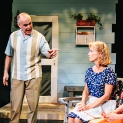 BWW Review: Arthur Miller's ALL MY SONS Examines Accepting Responsibility, Loss, Love and Hope for a Better Future