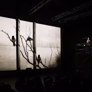 Review: ENSEMBLE OFFSPRING: NIGHT SONGS - ADELAIDE FESTIVAL 2024 at Space Theatre…