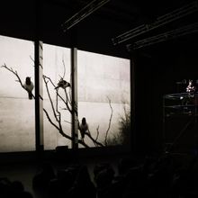 Review: ENSEMBLE OFFSPRING: NIGHT SONGS - ADELAIDE FESTIVAL 2024 at Space Theatre, Ad