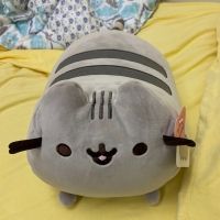BWW Blog: My Reasons to Smile - Frosty's World #9