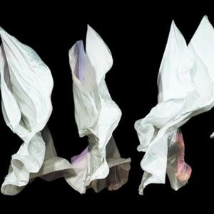 Time Lapse Dance to Present SHAPES OF CHANGE, Honoring Gail Merrifield Papp
