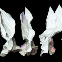 Time Lapse Dance to Present SHAPES OF CHANGE, Honoring Gail Merrifield Papp