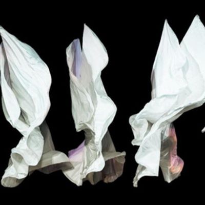 Time Lapse Dance to Present SHAPES OF CHANGE, Honoring Gail Merrifield Papp