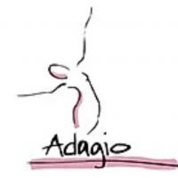 Adagio Dance Studio in Exeter Teaches Virtual Classes Amidst Shutdown
