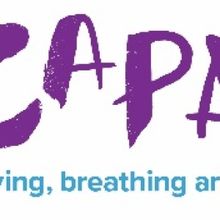 CAPA Welcomes Comedian Max Amini To Davidson Theatre This November