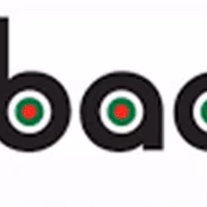 Black Arts & Culture Alliance Of Chicago To Host Town Hall On Supporting Black Arts Organizations